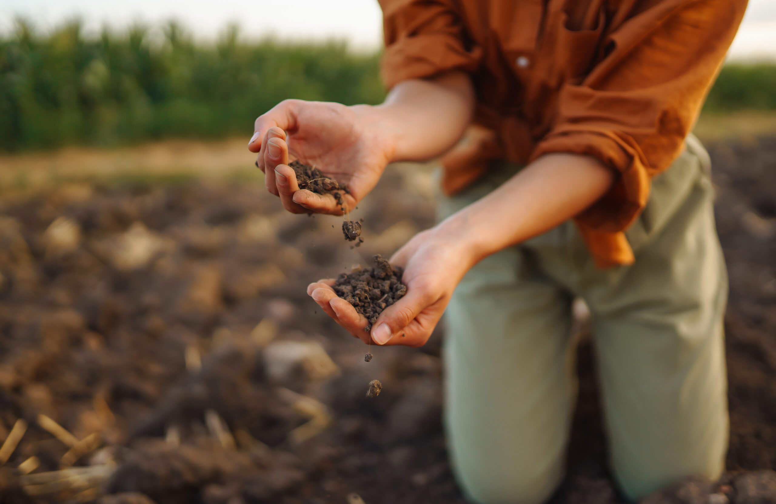 Chemical-Free soil Crops