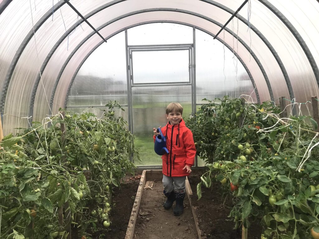 Project 05: Small Farmer Poly Tunnel Initiative